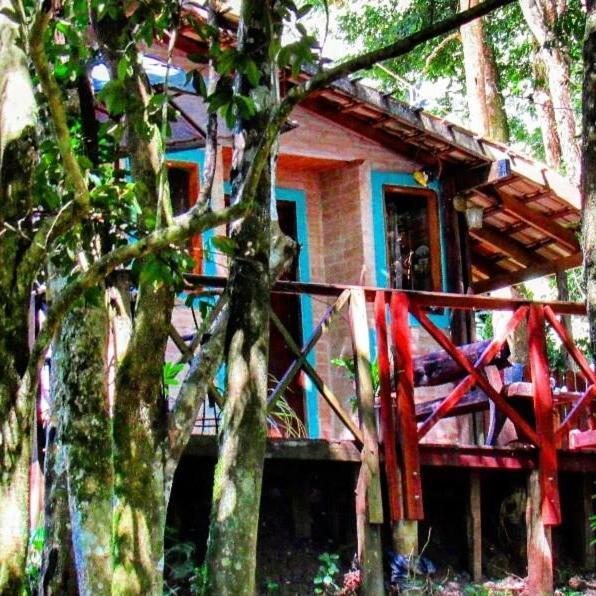 Casa Aconchegante Na Serra. Santo Antônio do Pinhal Eksteriør bilde