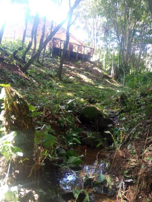 Casa Aconchegante Na Serra. Santo Antônio do Pinhal Eksteriør bilde